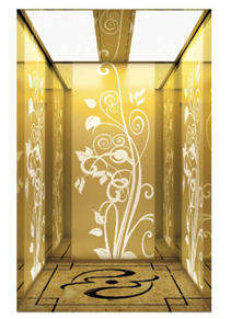 Passenger Elevator - Luxury Gold